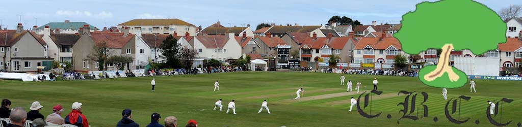 Penrhyn Avenue